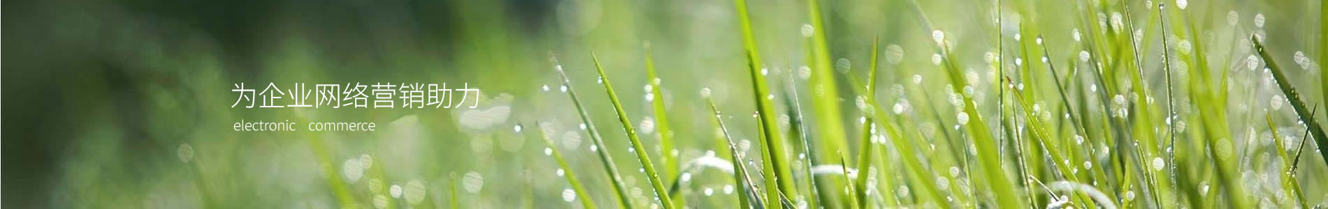ϲлҵӪ߻޹˾